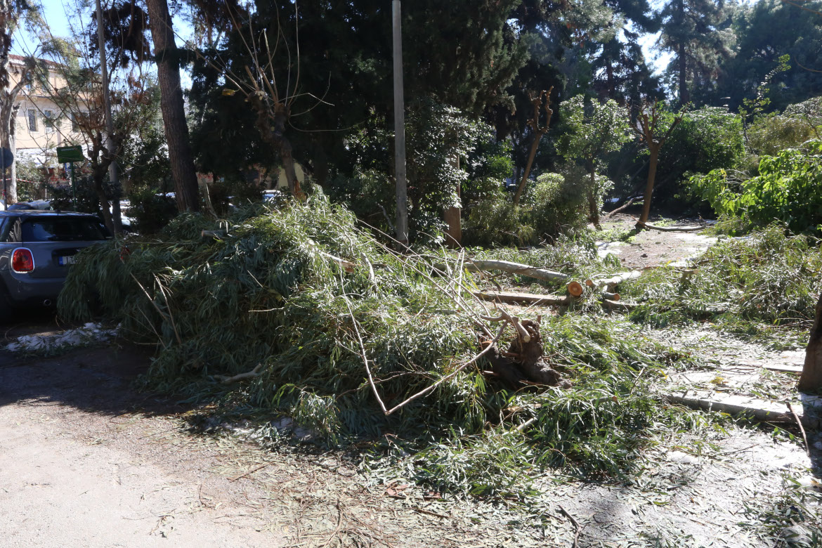 Γ. Κρικρής: Ο Δήμος Νέας Σμύρνης θα αποζημιώσει για τις ζημιές από πτώσεις δέντρων (ηχητικό)